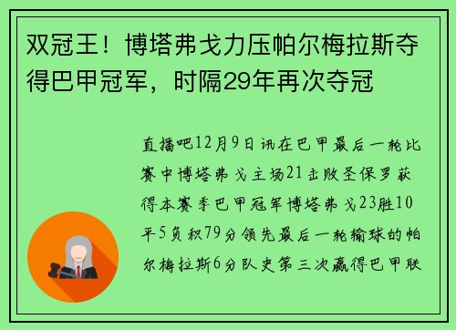 双冠王！博塔弗戈力压帕尔梅拉斯夺得巴甲冠军，时隔29年再次夺冠